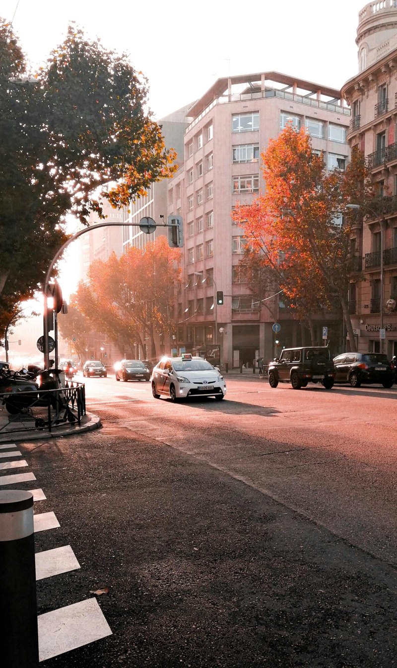 coches estacionados al costado de la carretera durante el día